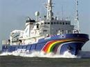 Das Greenpeace-Schiff «Esperanza» hatte am Samstag Funkkontakt mit der «Nisshin Maru».