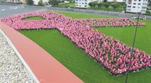 Pink Ribbon Charity Walk