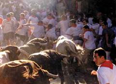 Das Stiertreiben in Pamplona stösst auf grossen Widerstand bei Tierschützer.