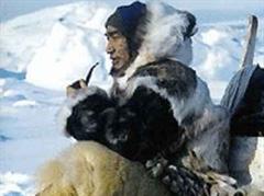 Die Klimaerwärmung könnte die gewohnte Umgebung der Inuit verändern.