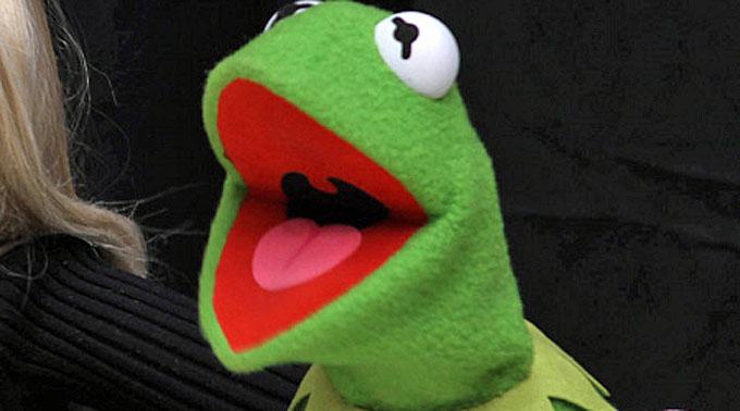 Kermit tritt von nun an mit Hollywoods Stars in Konkurrenz, um an die grossen Rollen zu kommen.